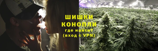 амф Белокуриха