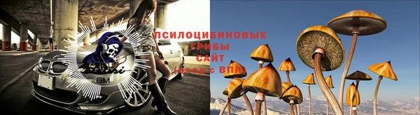амф Белокуриха