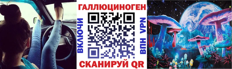 Галлюциногенные грибы Psilocybine cubensis Володарск